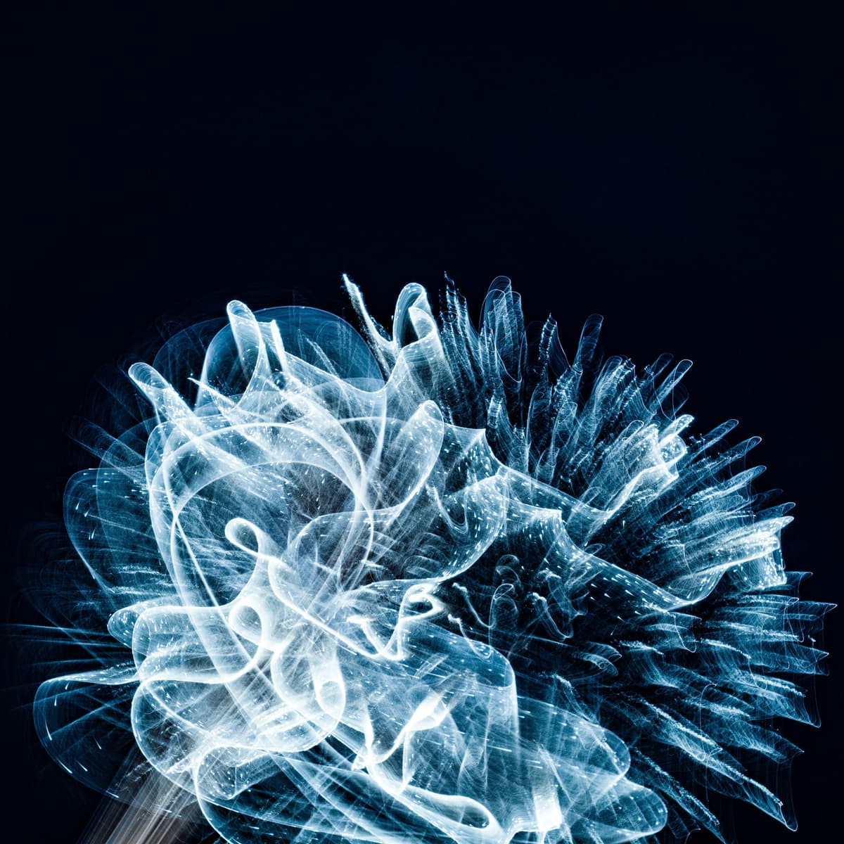 Best Reddit Communities for Influencers: How Brands Get It Wrong