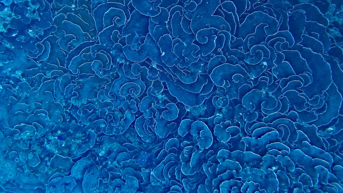 Reddit vs Google and Facebook Ads for Long-Term Growth: Real Dynamics, Lasting Impact, and Community Influence