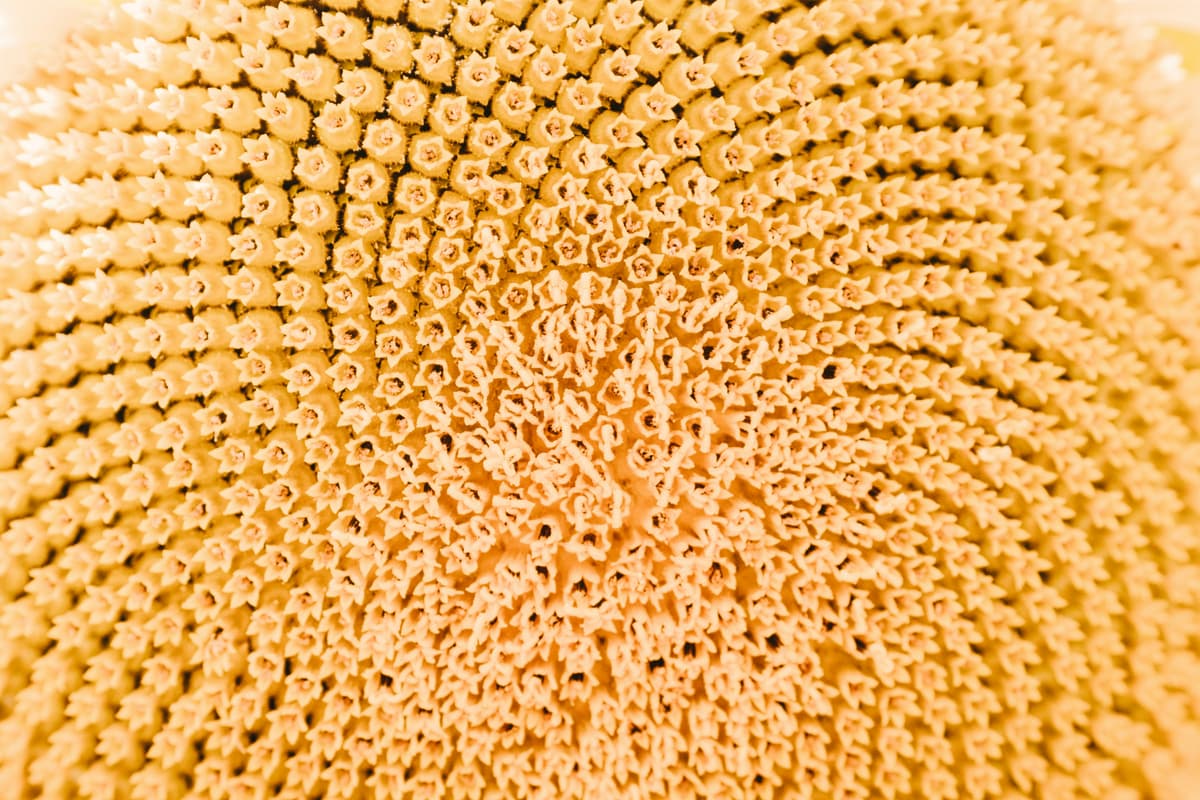 Best Reddit Communities for Coaches and Consultants: What Most Get Wrong About Reddit’s True Influence