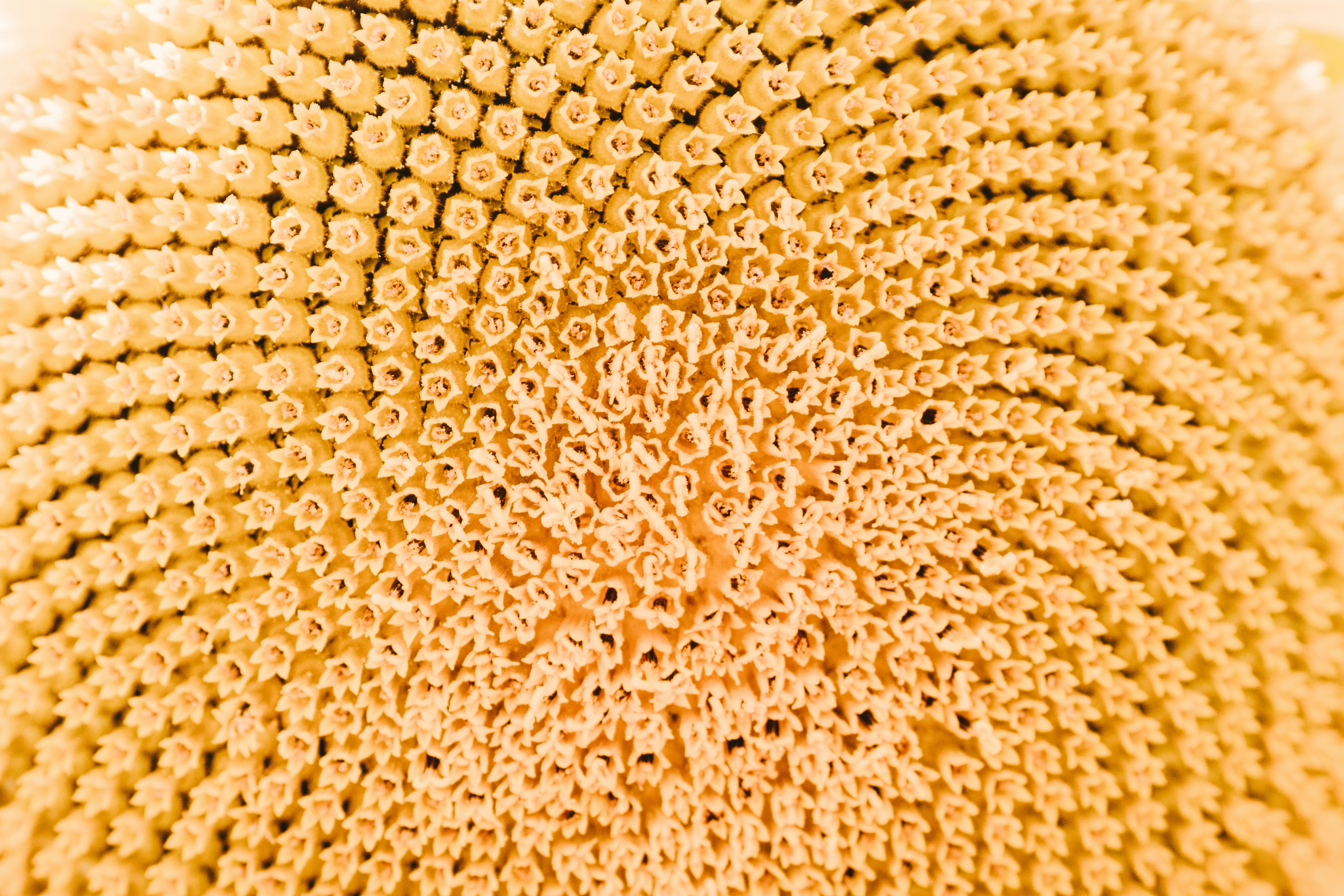 Best Reddit Communities for Power Users: System-Le...